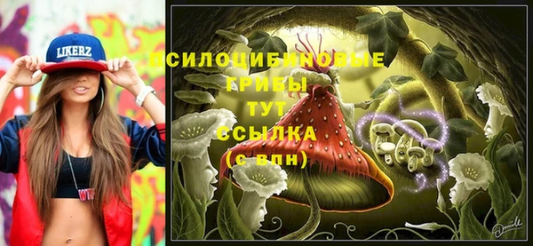 каннабис Алзамай