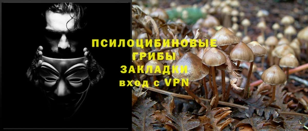 ешки Алексин