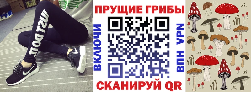сколько стоит  Ишим  Галлюциногенные грибы GOLDEN TEACHER 
